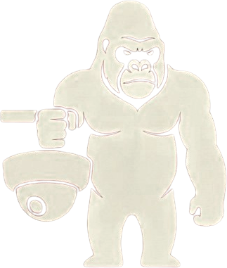 Local Gorilla